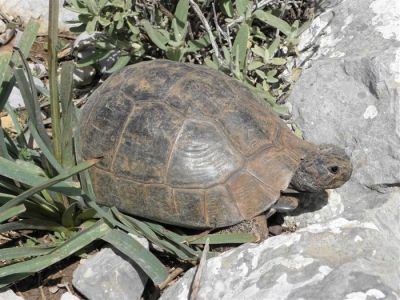 Κάντε κλικ για να δείτε την εικόνα σε πλήρες μέγεθος