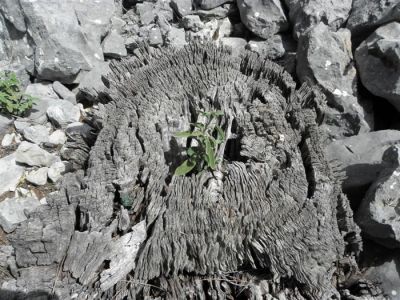 Κάντε κλικ για να δείτε την εικόνα σε πλήρες μέγεθος