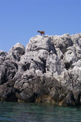 Κάντε κλικ για να δείτε την εικόνα σε πλήρες μέγεθος