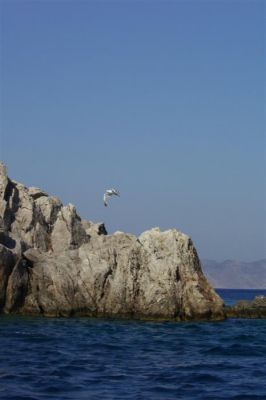 Κάντε κλικ για να δείτε την εικόνα σε πλήρες μέγεθος