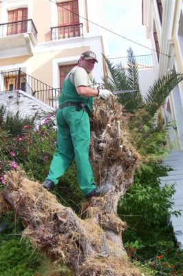 Κάντε κλικ για να δείτε την εικόνα σε πλήρες μέγεθος