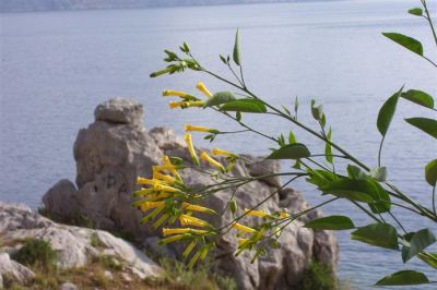 Κάντε κλικ για να δείτε την εικόνα σε πλήρες μέγεθος