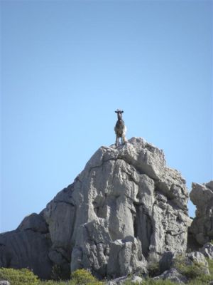 Κάντε κλικ για να δείτε την εικόνα σε πλήρες μέγεθος