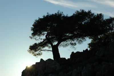 Κάντε κλικ για να δείτε την εικόνα σε πλήρες μέγεθος