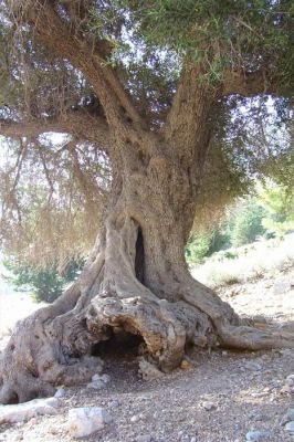 Κάντε κλικ για να δείτε την εικόνα σε πλήρες μέγεθος