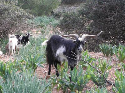 Κάντε κλικ για να δείτε την εικόνα σε πλήρες μέγεθος