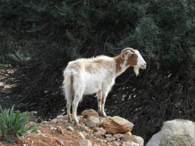 Κάντε κλικ για να δείτε την εικόνα σε πλήρες μέγεθος