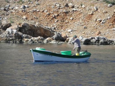 Tam boy resmi görebilmek için tıklayın