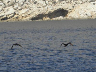 Κάντε κλικ για να δείτε την εικόνα σε πλήρες μέγεθος