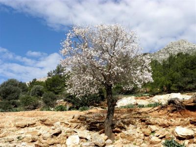 Κάντε κλικ για να δείτε την εικόνα σε πλήρες μέγεθος