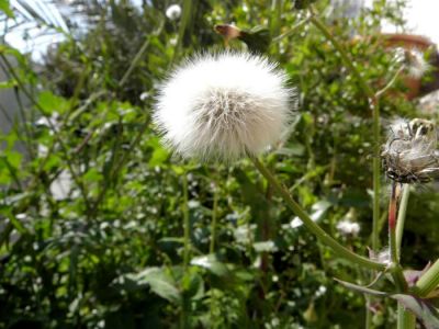 Κάντε κλικ για να δείτε την εικόνα σε πλήρες μέγεθος