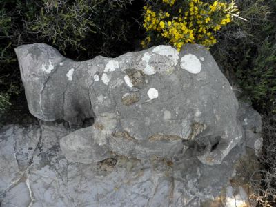 Κάντε κλικ για να δείτε την εικόνα σε πλήρες μέγεθος