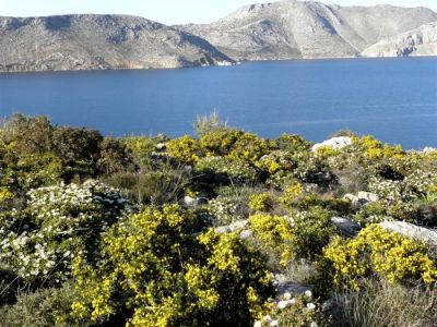 Κάντε κλικ για να δείτε την εικόνα σε πλήρες μέγεθος