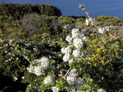 Κάντε κλικ για να δείτε την εικόνα σε πλήρες μέγεθος