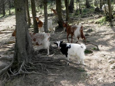 Κάντε κλικ για να δείτε την εικόνα σε πλήρες μέγεθος