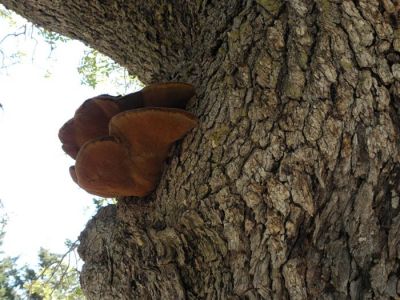 Κάντε κλικ για να δείτε την εικόνα σε πλήρες μέγεθος