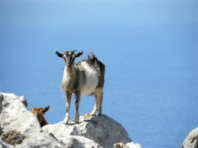 Κάντε κλικ για να δείτε την εικόνα σε πλήρες μέγεθος