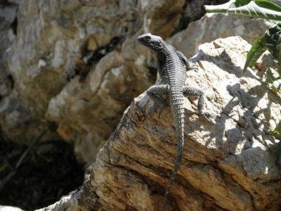 Κάντε κλικ για να δείτε την εικόνα σε πλήρες μέγεθος