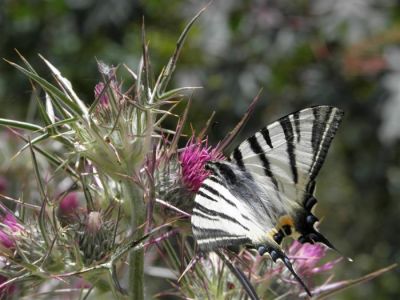 Κάντε κλικ για να δείτε την εικόνα σε πλήρες μέγεθος