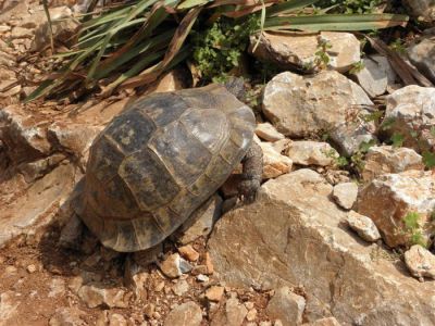 Κάντε κλικ για να δείτε την εικόνα σε πλήρες μέγεθος