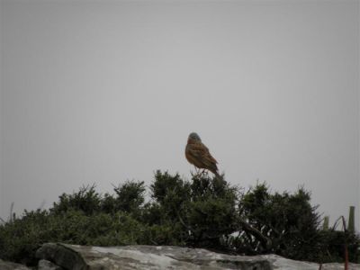 Κάντε κλικ για να δείτε την εικόνα σε πλήρες μέγεθος