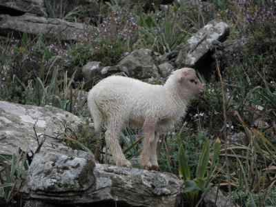 Κάντε κλικ για να δείτε την εικόνα σε πλήρες μέγεθος