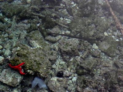 Κάντε κλικ για να δείτε την εικόνα σε πλήρες μέγεθος