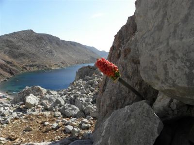 Κάντε κλικ για να δείτε την εικόνα σε πλήρες μέγεθος