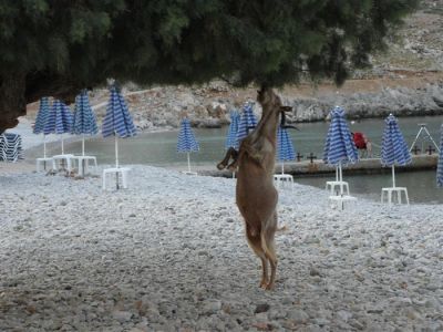 Κάντε κλικ για να δείτε την εικόνα σε πλήρες μέγεθος