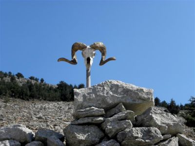 Tam boy resmi görebilmek için tıklayın