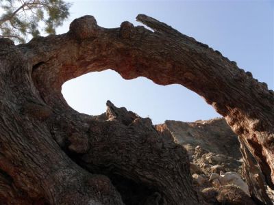 Κάντε κλικ για να δείτε την εικόνα σε πλήρες μέγεθος