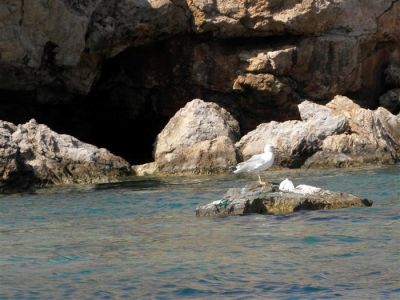 Κάντε κλικ για να δείτε την εικόνα σε πλήρες μέγεθος