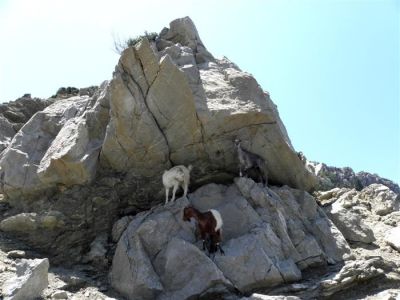 Κάντε κλικ για να δείτε την εικόνα σε πλήρες μέγεθος