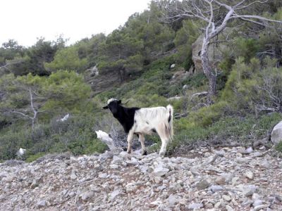 Κάντε κλικ για να δείτε την εικόνα σε πλήρες μέγεθος