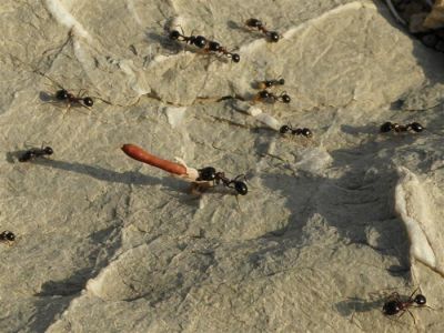 Κάντε κλικ για να δείτε την εικόνα σε πλήρες μέγεθος