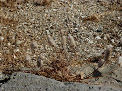 Κάντε κλικ για να δείτε την εικόνα σε πλήρες μέγεθος