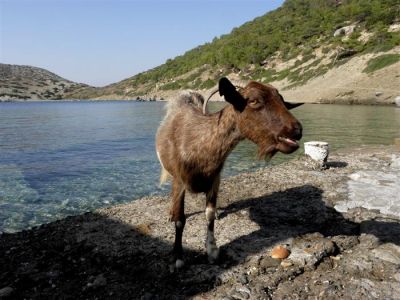 Κάντε κλικ για να δείτε την εικόνα σε πλήρες μέγεθος