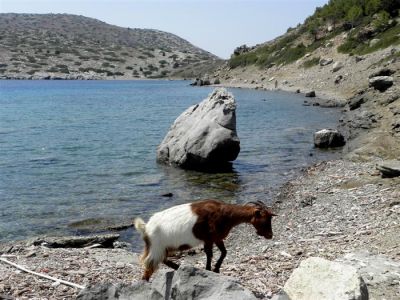 Κάντε κλικ για να δείτε την εικόνα σε πλήρες μέγεθος