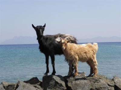 Κάντε κλικ για να δείτε την εικόνα σε πλήρες μέγεθος