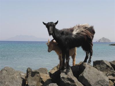 Κάντε κλικ για να δείτε την εικόνα σε πλήρες μέγεθος