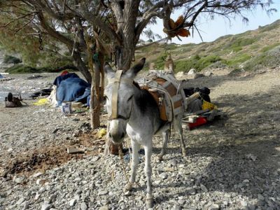 Κάντε κλικ για να δείτε την εικόνα σε πλήρες μέγεθος