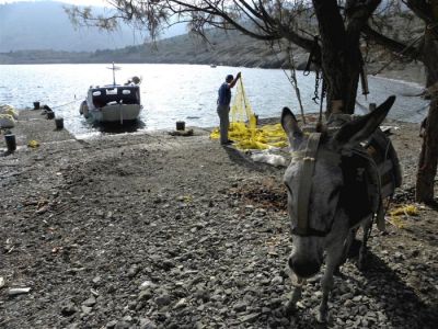 Tam boy resmi görebilmek için tıklayın