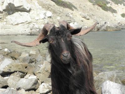 Κάντε κλικ για να δείτε την εικόνα σε πλήρες μέγεθος