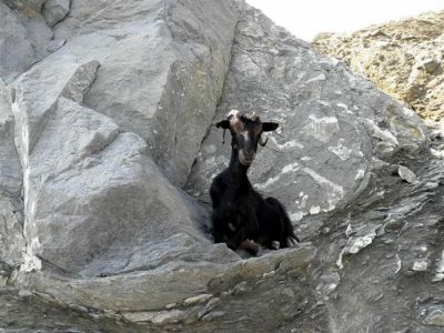 Κάντε κλικ για να δείτε την εικόνα σε πλήρες μέγεθος