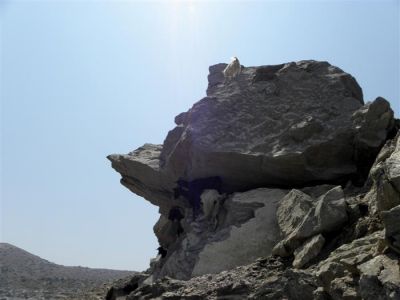 Κάντε κλικ για να δείτε την εικόνα σε πλήρες μέγεθος