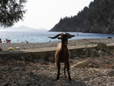 Κάντε κλικ για να δείτε την εικόνα σε πλήρες μέγεθος