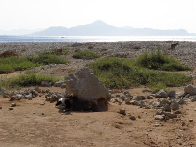 Κάντε κλικ για να δείτε την εικόνα σε πλήρες μέγεθος