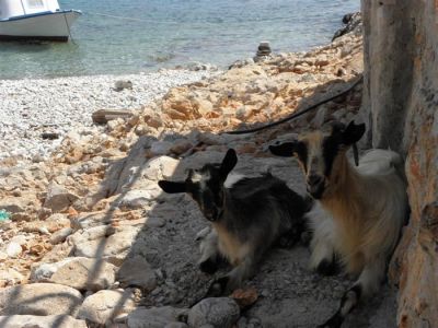 Κάντε κλικ για να δείτε την εικόνα σε πλήρες μέγεθος