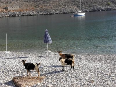 Tam boy resmi görebilmek için tıklayın