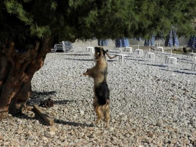 Tam boy resmi görebilmek için tıklayın